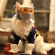 Illustration for article titled Cat Cosplay